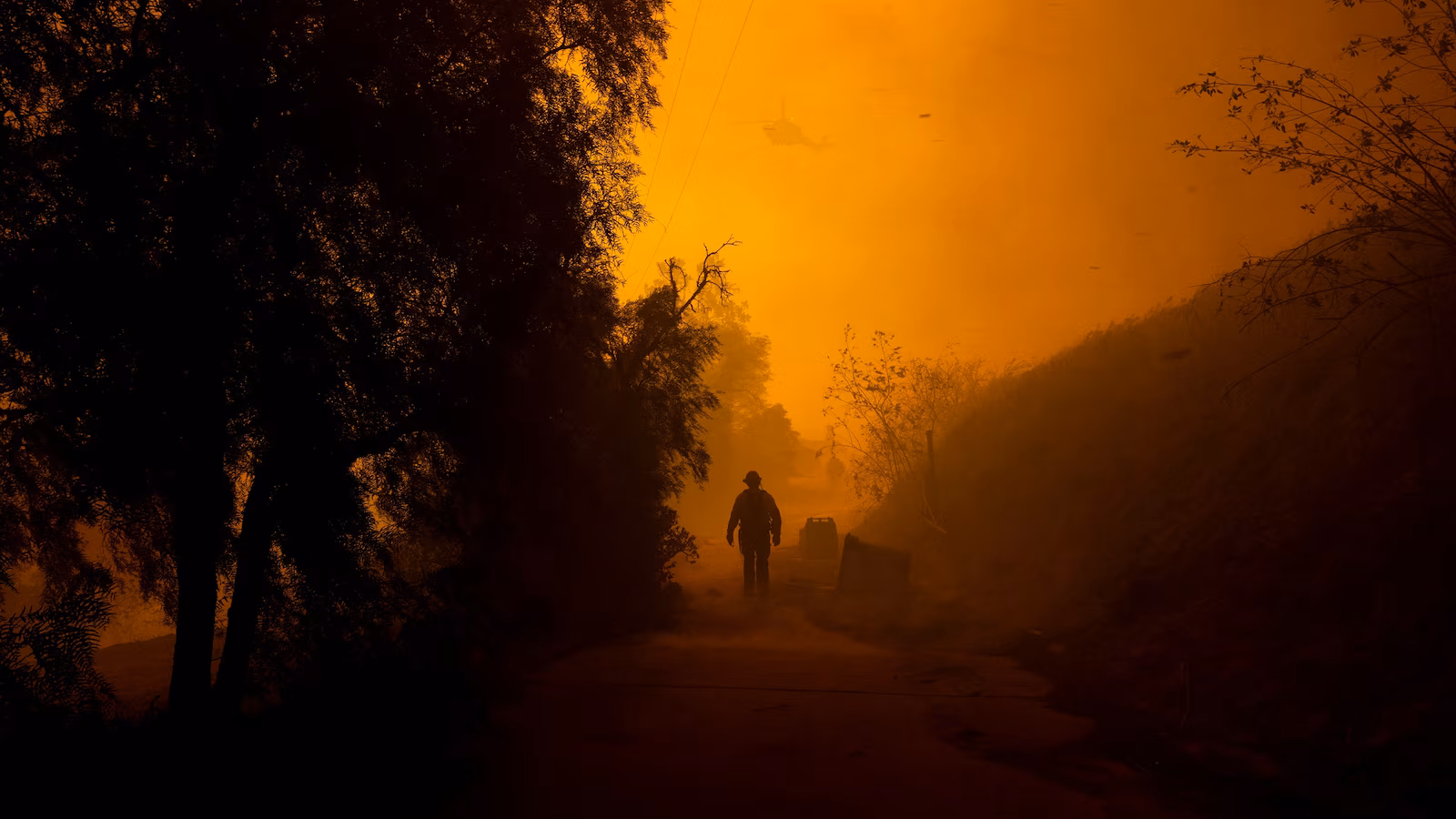 Raging Southern California Wildfire Forces Mass Evacuations, Destroys Homes