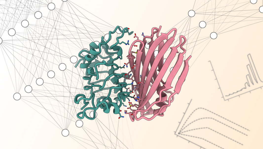 Featured image for BindCraft AI Excels in One-Shot Protein Design