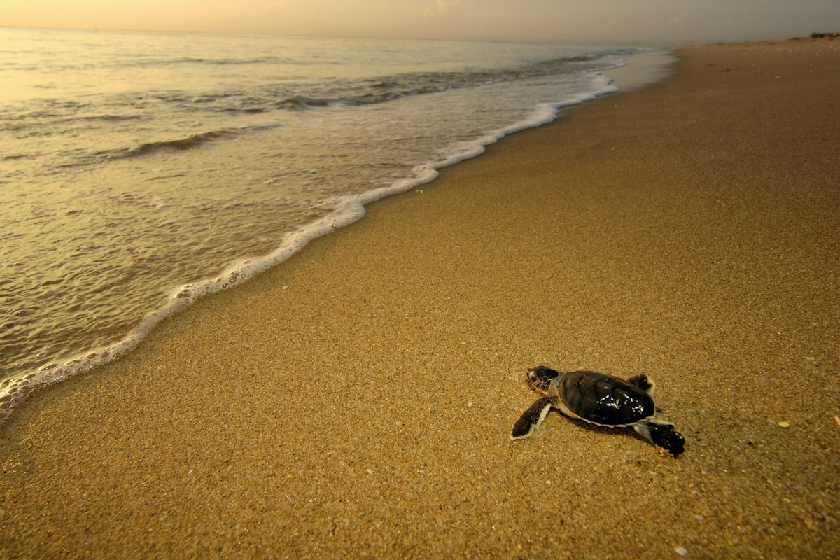 Featured image for Human DNA Found in Air Samples Could Aid Criminal Investigations, Say Florida Researchers