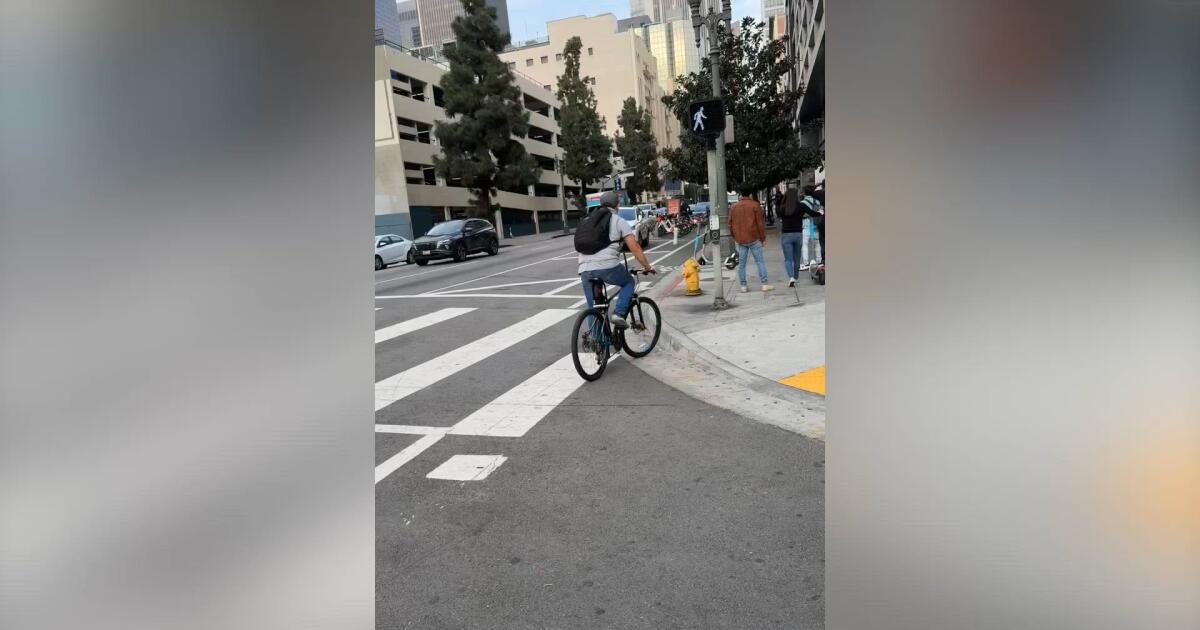 Featured image for Woman's Terrifying Ride Clinging to Car Hood After French Bulldog Theft