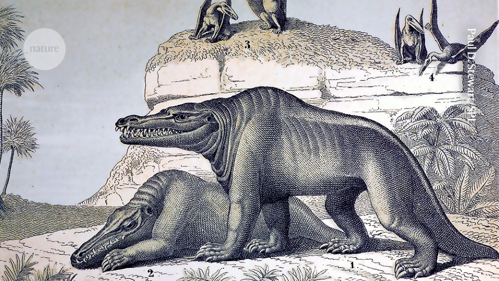 Featured image for "Revolutionizing Dinosaur Naming: 200 Years of Discovery and the Call for Change"