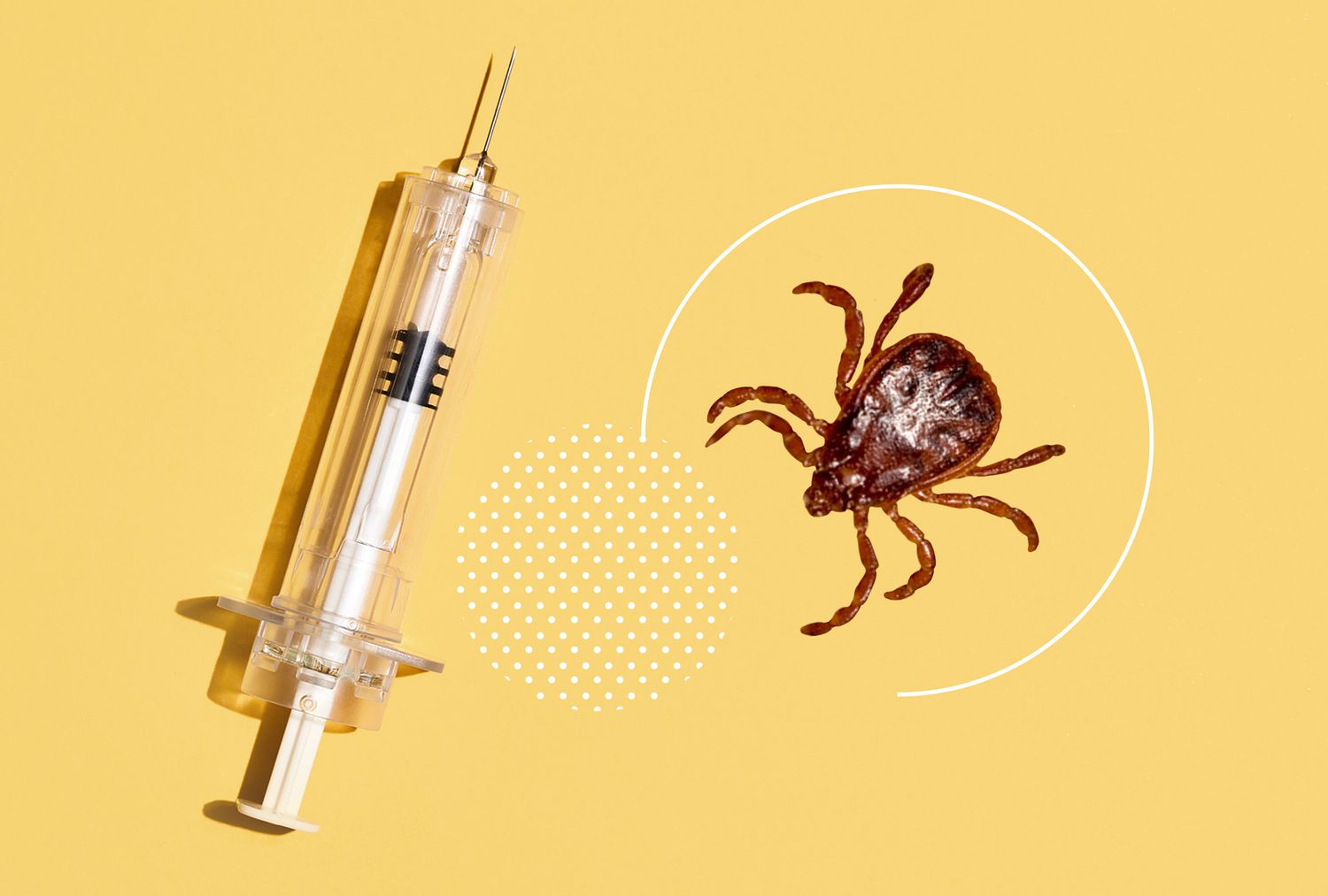 New Approaches to Lyme Vaccines Being Tested Globally