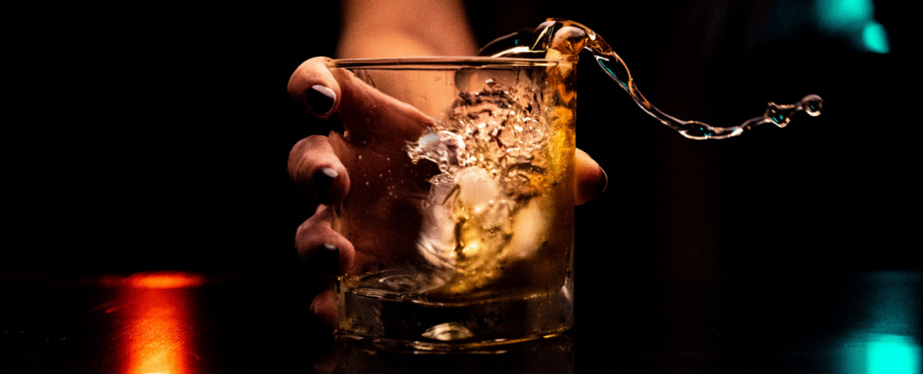 Featured image for "Probiotic Pill May Prevent Organ Damage and Hangovers from Alcohol, Study Finds"