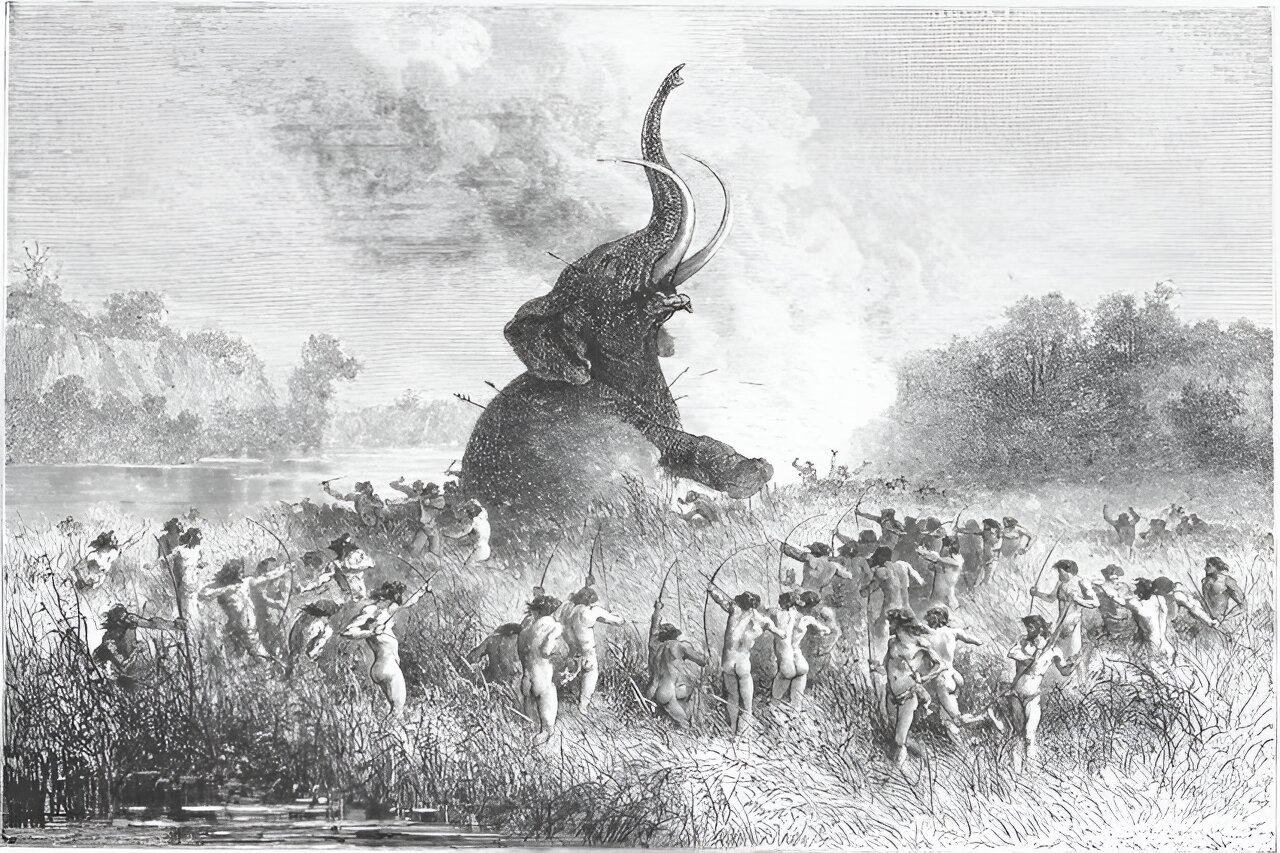 Featured image for Human Activity Blamed for Decline of Giant Mammals, Not Climate