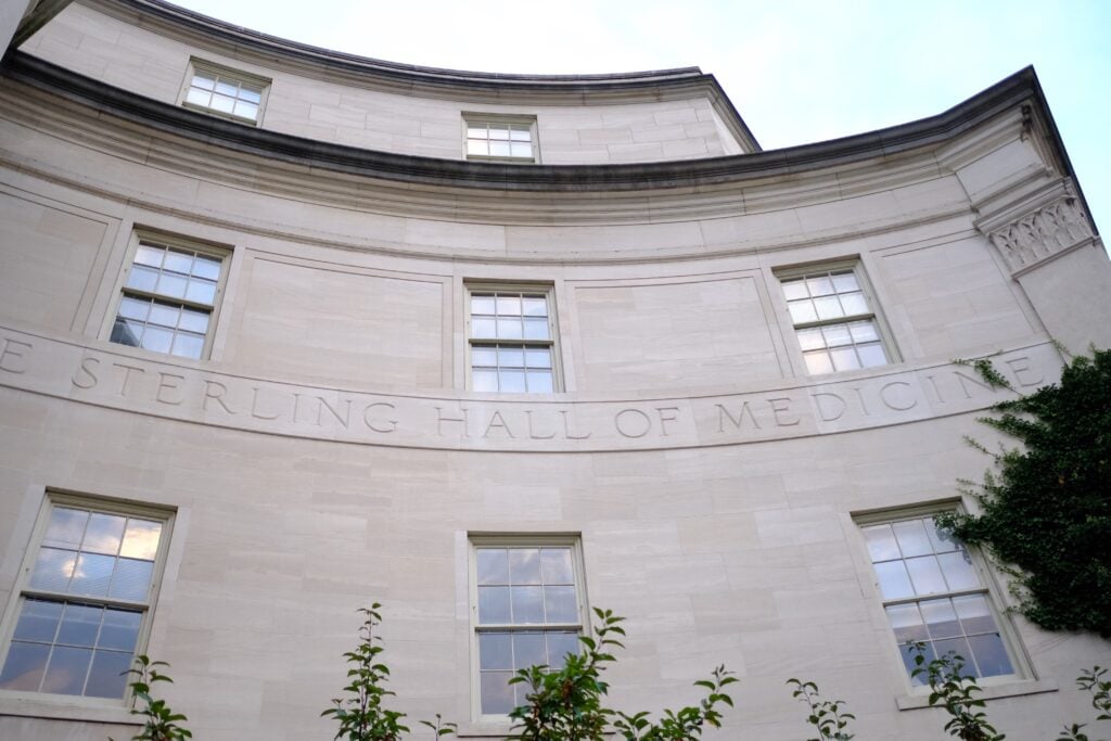 Featured image for Study Finds Healthcare Disparities Impact Stroke Treatment