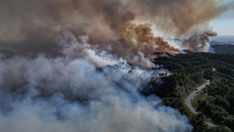 Featured image for Syrian Coast Battles Major Wildfires Amid Drought and War Challenges