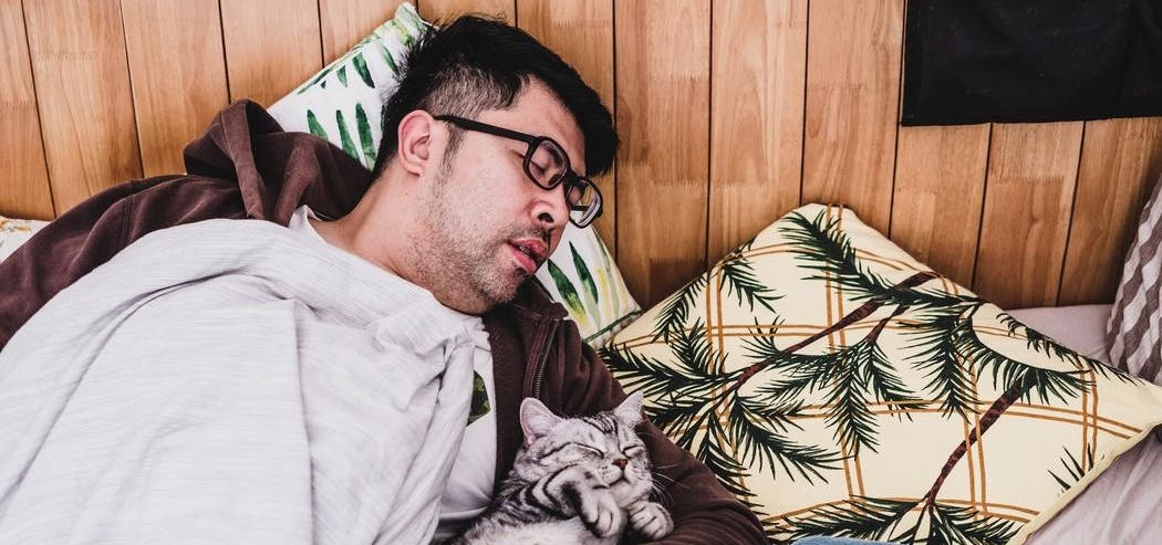 "The Nap Paradox: How a Simple Habit Can Keep Your Brain Young and Lower Dementia Risk"