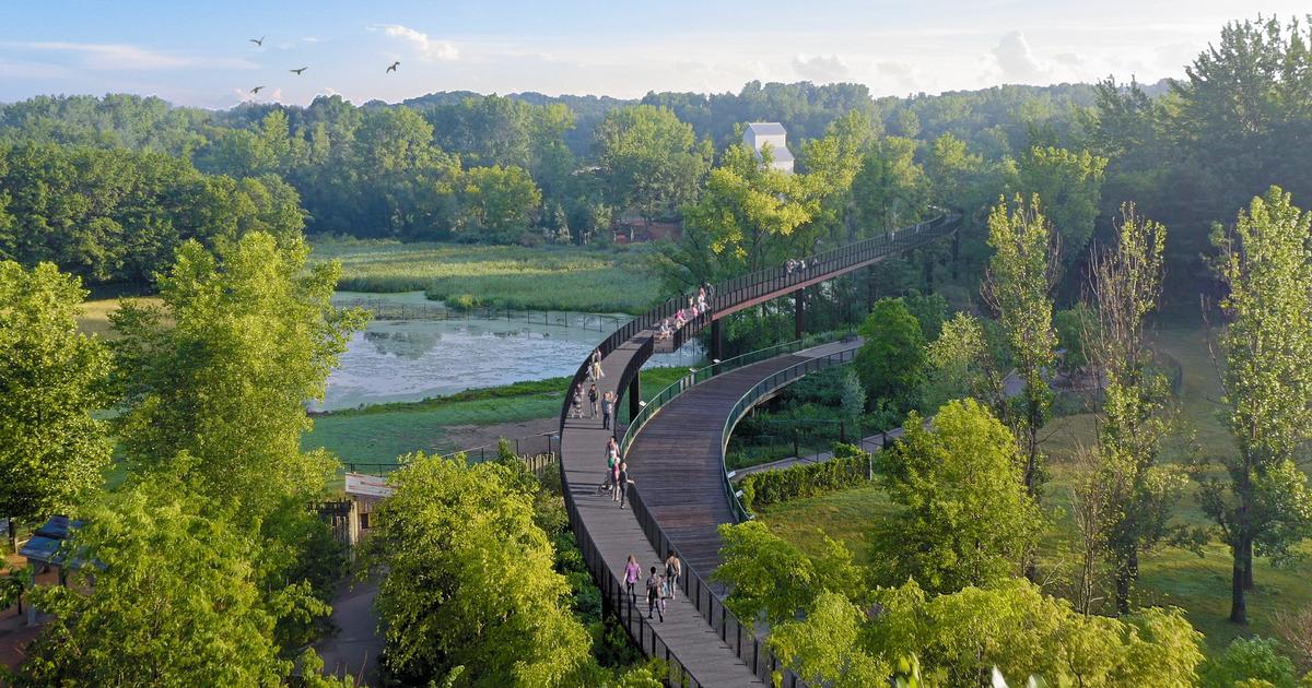 "Minnesota Zoo's Treetop Trail: Elevated Adventure Awaits"