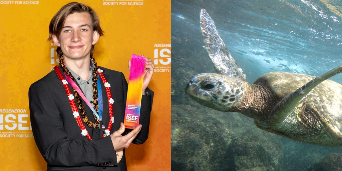 Featured image for Teen Awarded $10K for Research on Sea Turtle Tumors