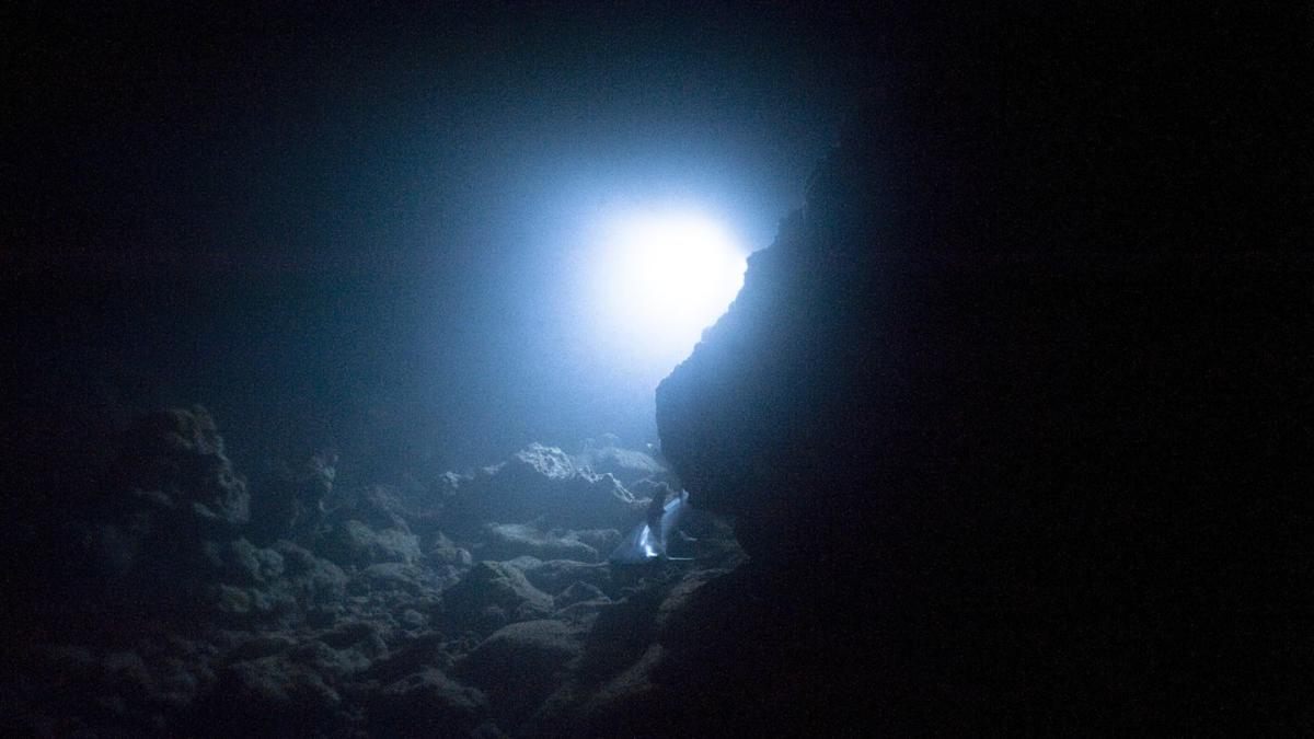 Featured image for Mysterious Deep-Sea Predator Discovered