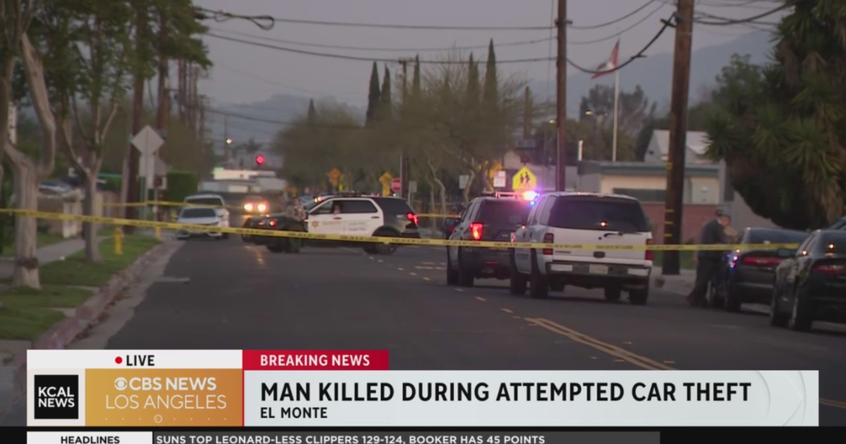 Suspected catalytic converter thief fatally stabbed in South El Monte driveway.