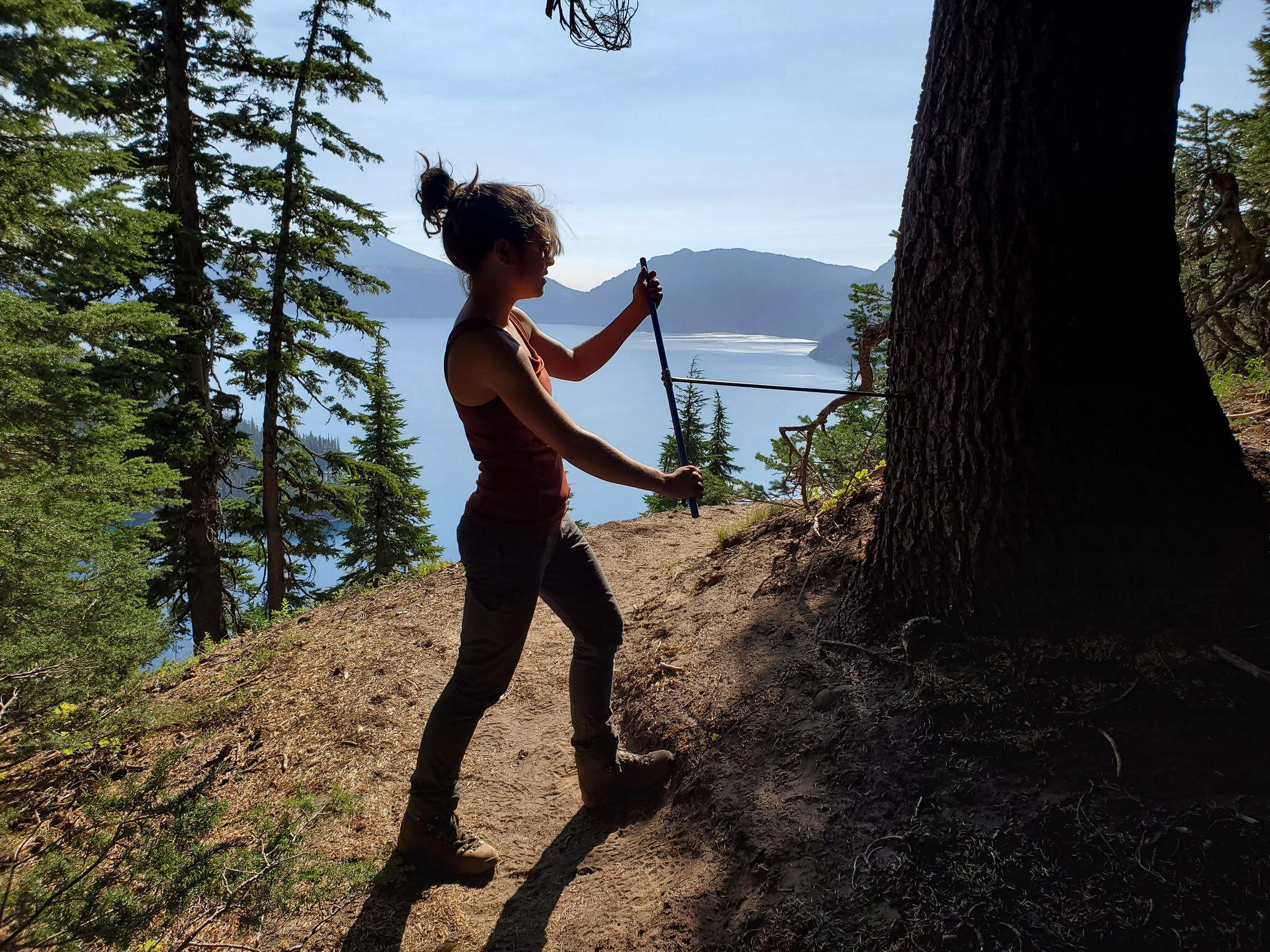 Tree rings confirm historic extremity of 2021 western North America heat wave.
