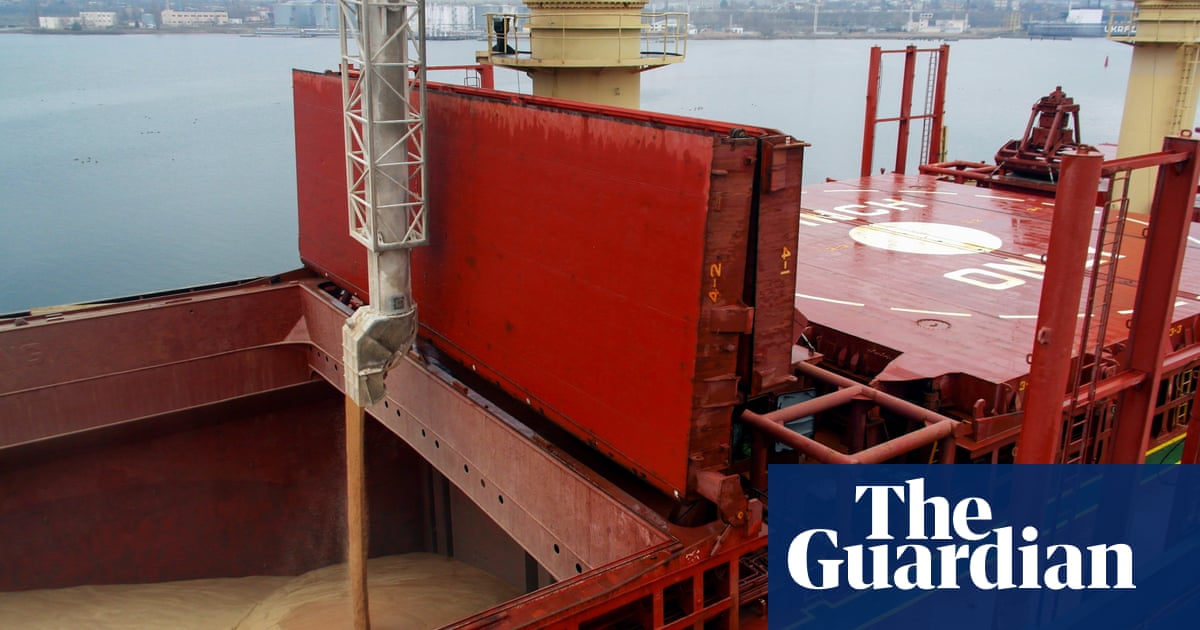 Ukraine's Grain Exports Face Hurdles Despite Resumed Ship Inspections