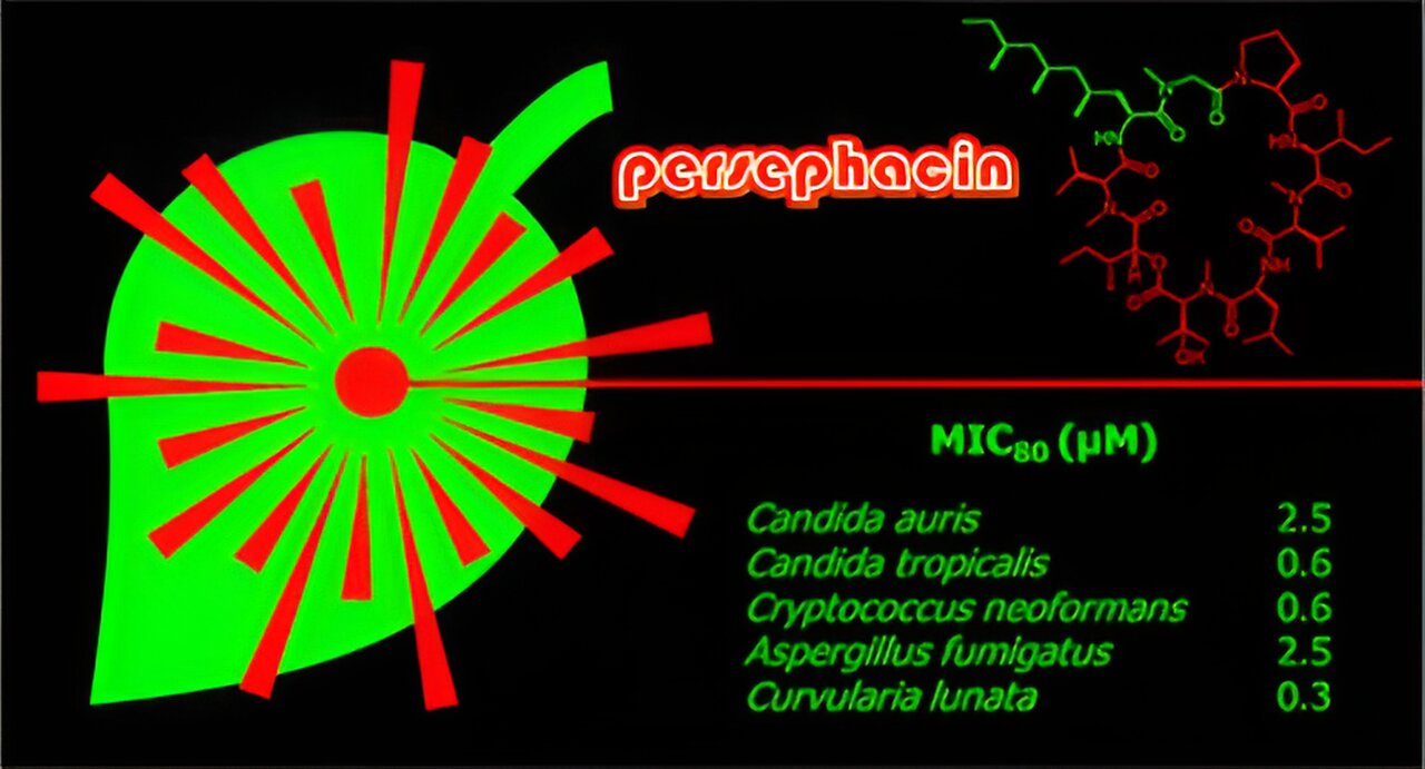 Featured image for "Groundbreaking Antifungal Molecule Unveiled by Researchers"