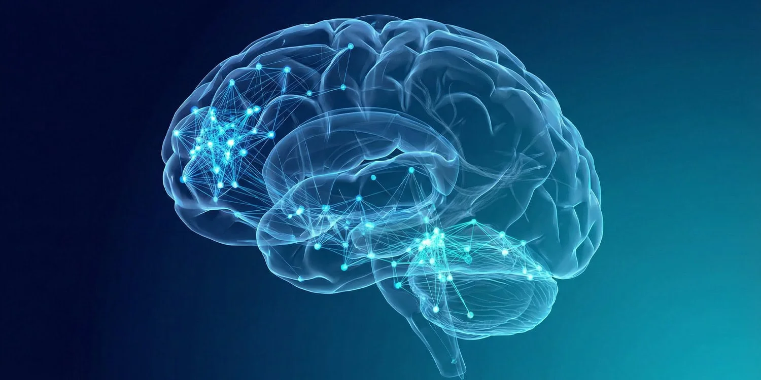 Alcohol Reconfigures Brain Networks into Local Clusters