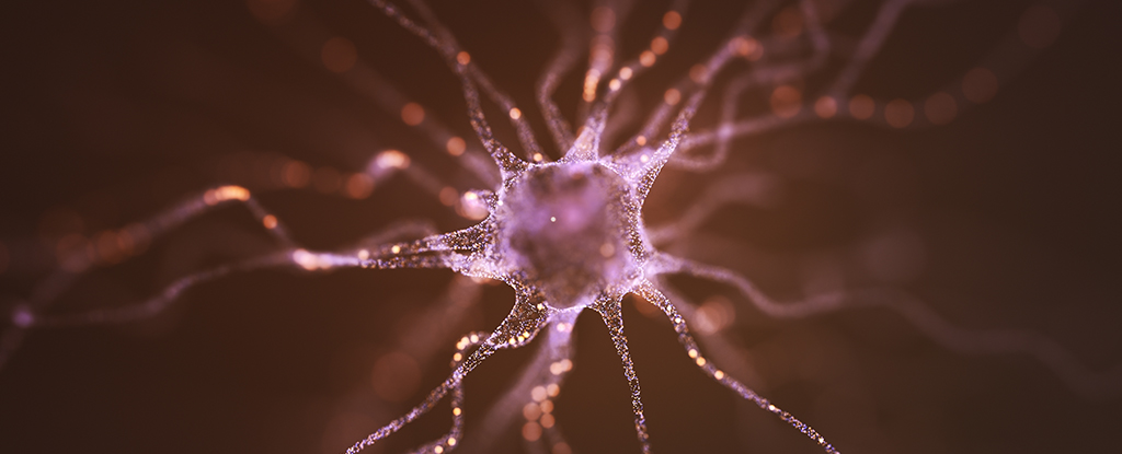 Featured image for Nanoparticles Reconnect Brain Cells, Boosting Parkinson's Hope