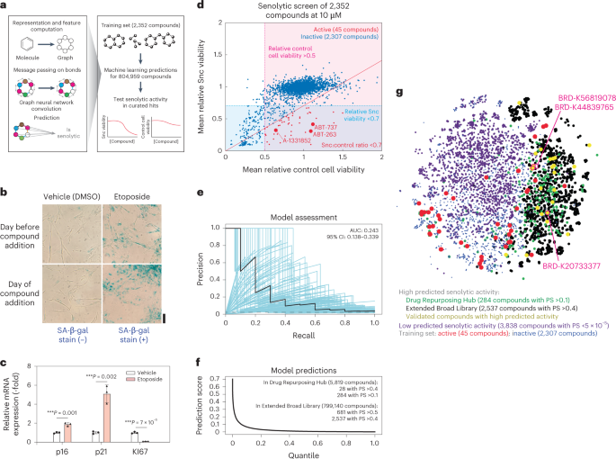 Featured image for AI and Machine Learning Revolutionize Anti-Aging Drug Discovery.