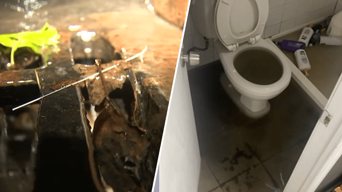 NYC Basements Flooded with Sewage Water After Weekend Washout