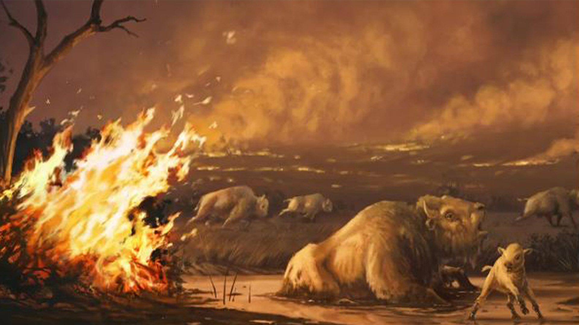 Ancient Humans' Megafires Turned California into Uninhabitable Wasteland for Millennia