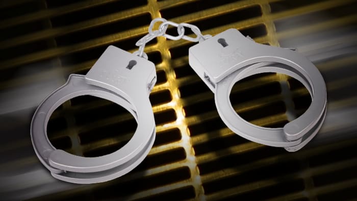 Woman Arrested for Animal Cruelty: 55 Dogs Rescued, 5 Puppies Found Dead in Freezer