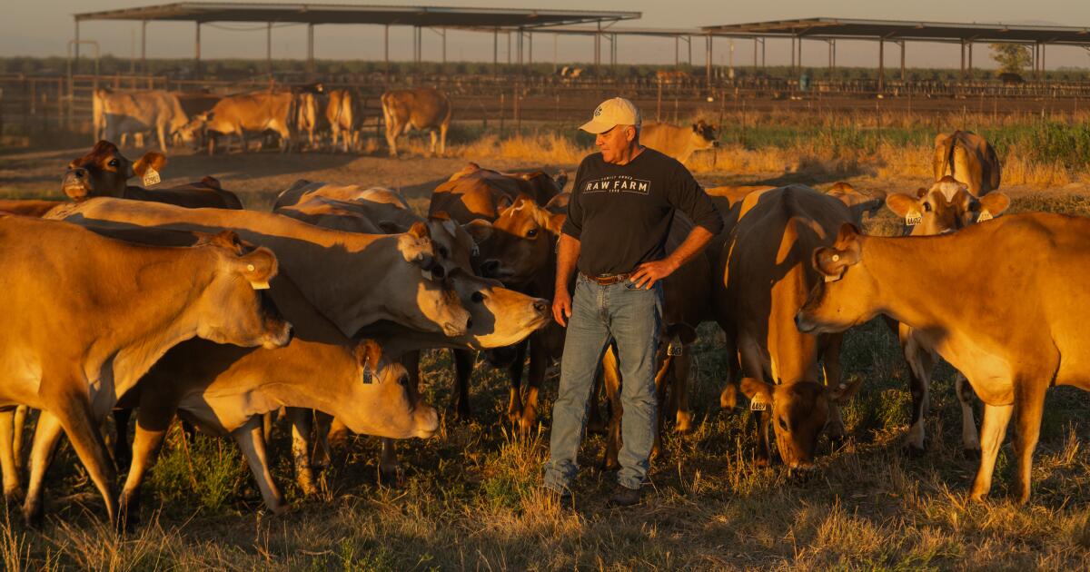 Bird Flu Found in California Raw Milk Supply