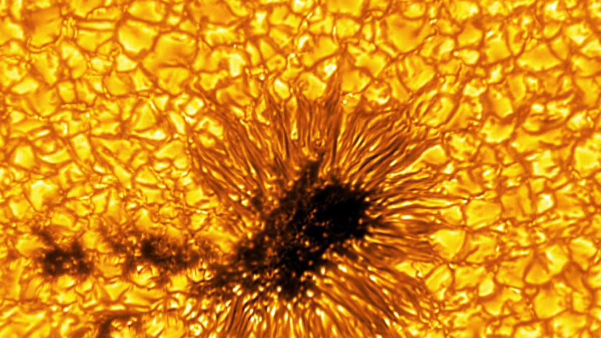 Stunning new images of the sun captured by Earth's most powerful telescope.