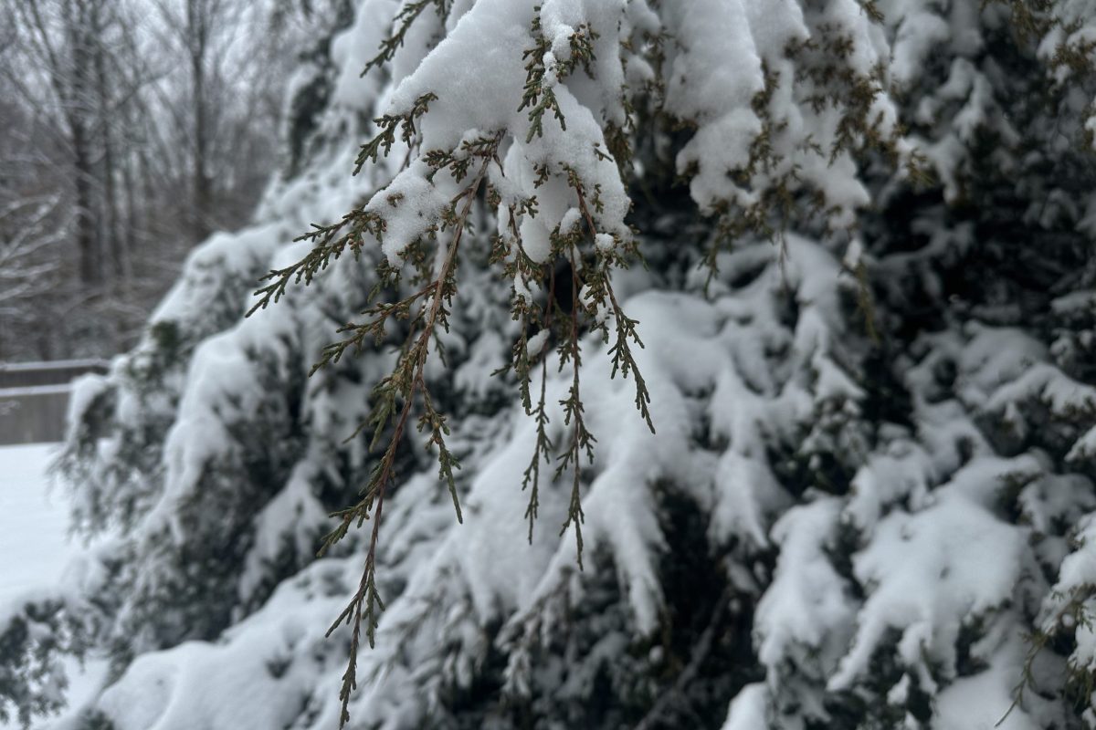 Featured image for Baltimore-Area Schools Delay or Close Due to Cold and Icy Conditions