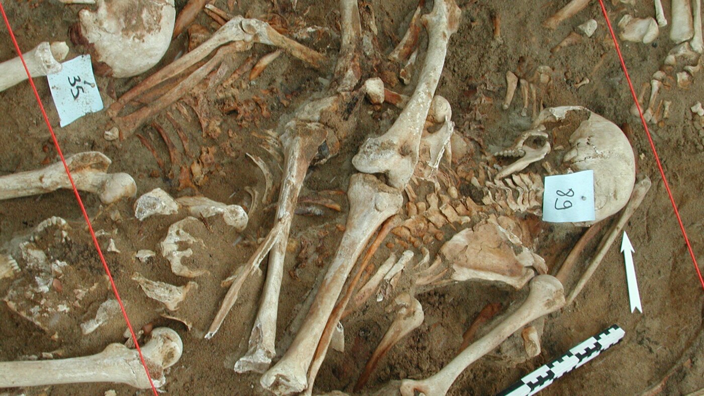 Featured image for DNA analysis uncovers diseases that decimated Napoleon's army