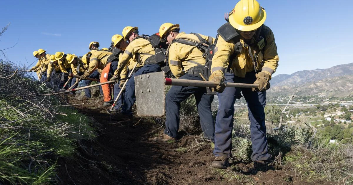 Featured image for LA's Wildfire Recovery: Challenges, Lessons, and the Path Forward