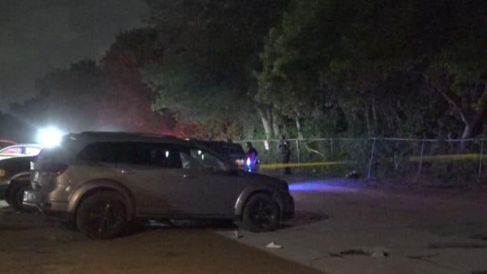 Fatal Shooting of Teenager and Mother in Southeast Houston.