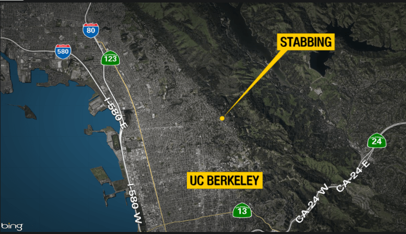 Fatal Stabbing Spree in Berkeley Hills: Suspect Apprehended