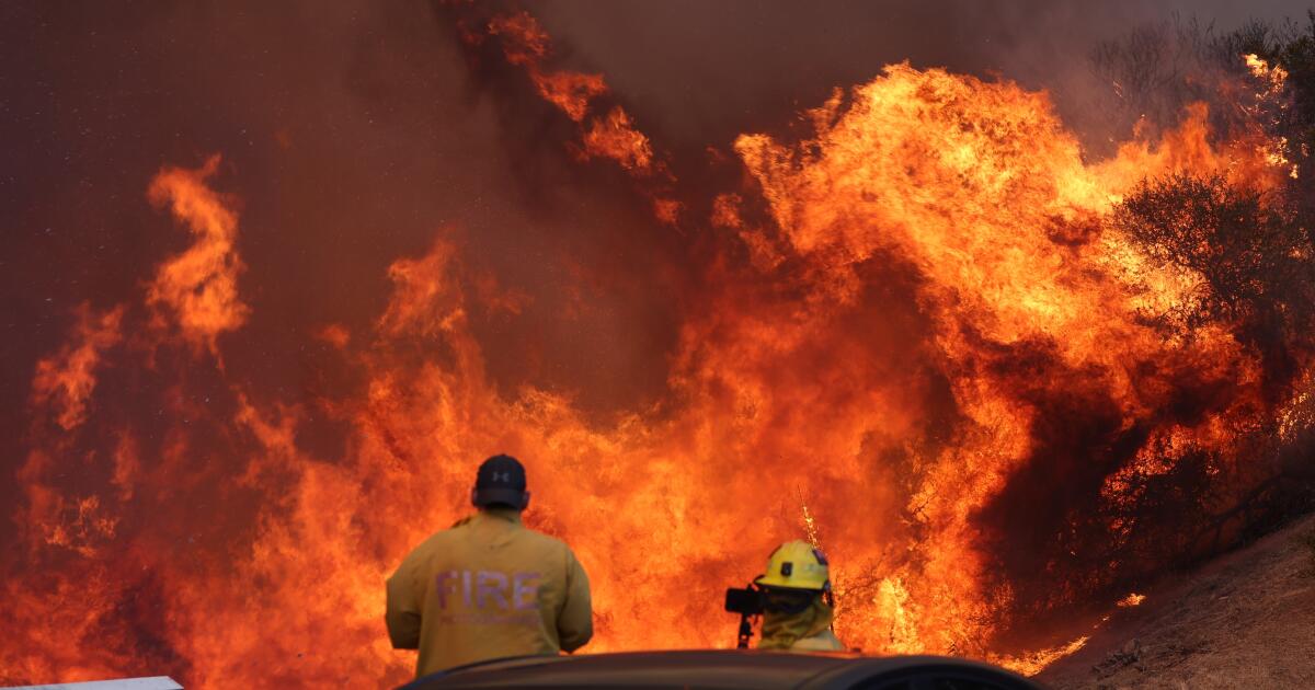 Featured image for LA Fire Report Controversy and Survivor Lessons One Year Later