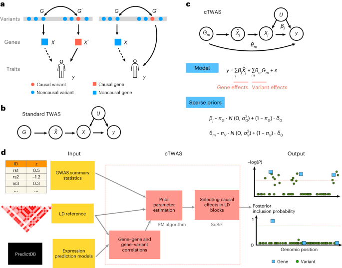 Featured image for "Enhanced Genetic Analysis Tool Boosts Discovery of Disease-Causing Genes"