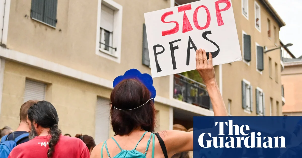 Featured image for Gut Microbes May Help Remove 'Forever Chemicals' from the Body