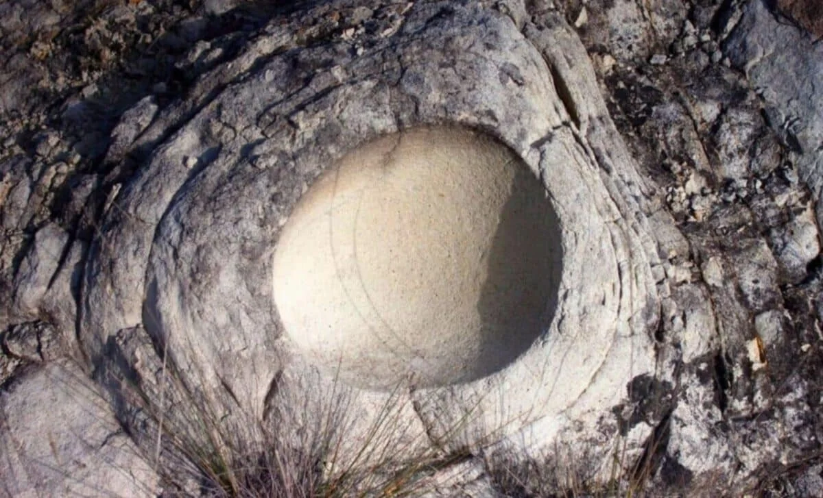 Dinosaur Egg Inside Egg Reveals Bird-Like Reproduction in Titanosaurs