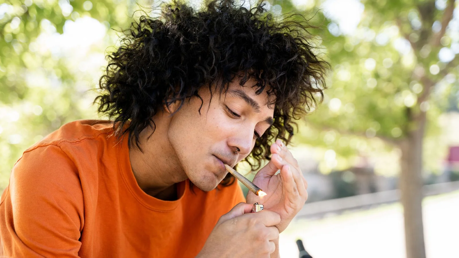 Inside the Munchies: How THC Rewires Hunger in the Brain