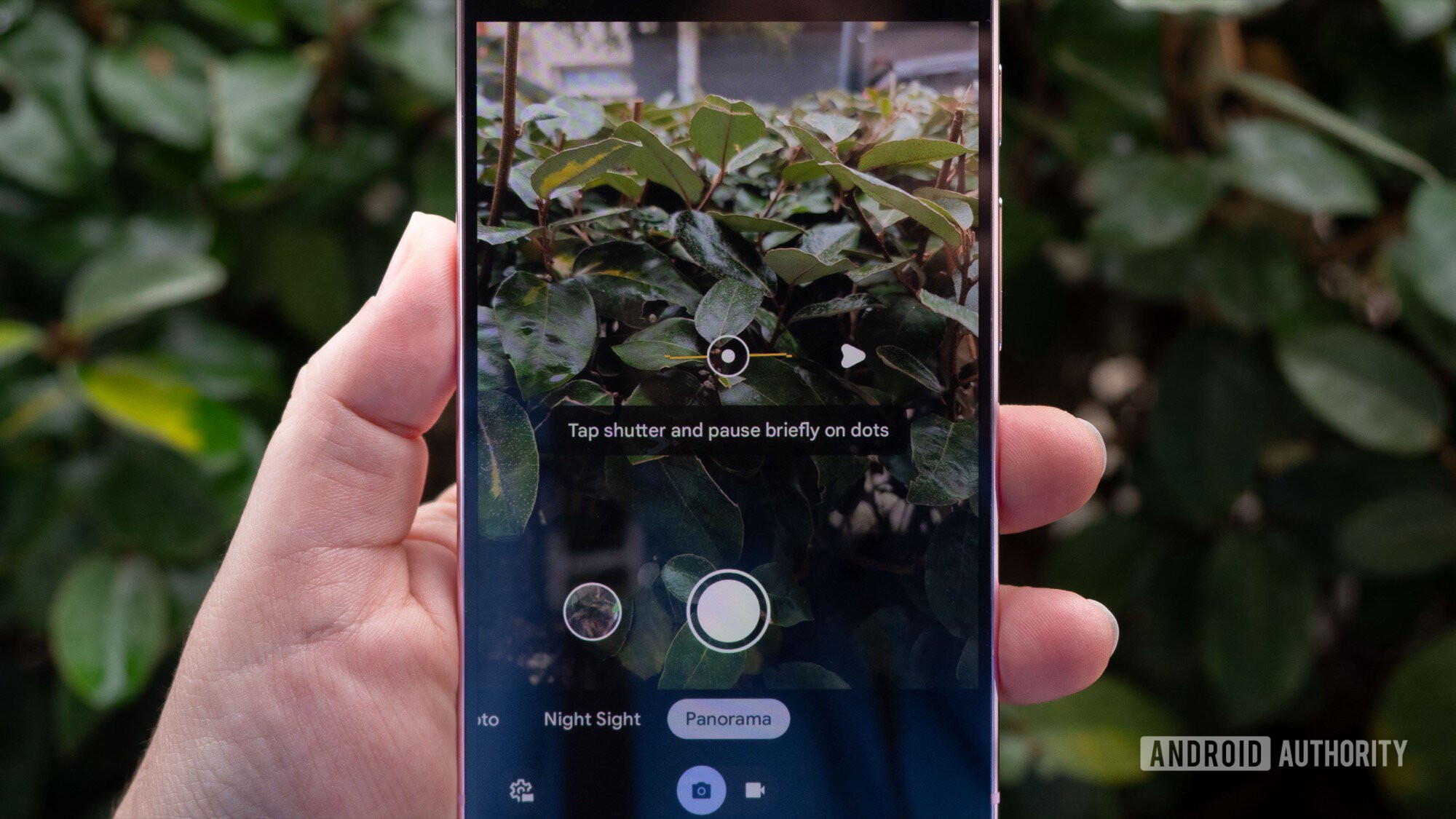 Featured image for Google Pixel 8 Receives Major Camera Update for the Holidays