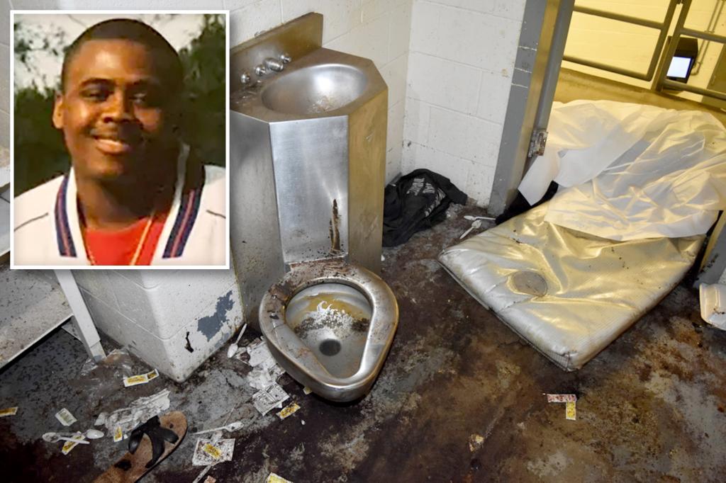 Family claims Georgia inmate died after being 'eaten alive' by bed bugs in filthy jail cell.