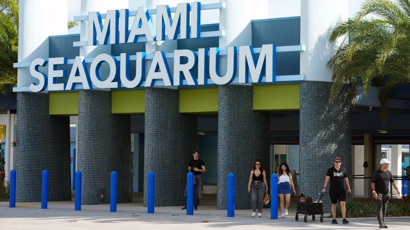 Featured image for Miami Seaquarium Ordered to Vacate Property by Miami-Dade County
