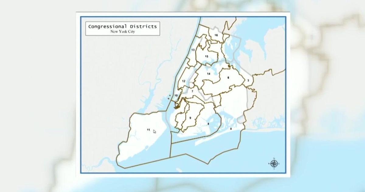"New York Court Orders Redrawing of Congressional Maps, Potentially Shifting House Control"