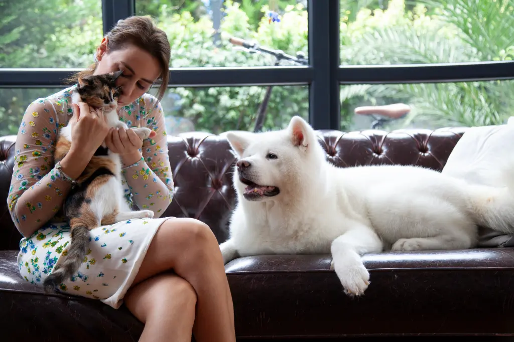 Featured image for The Surprising Truth: Pet Owners' Preference Revealed