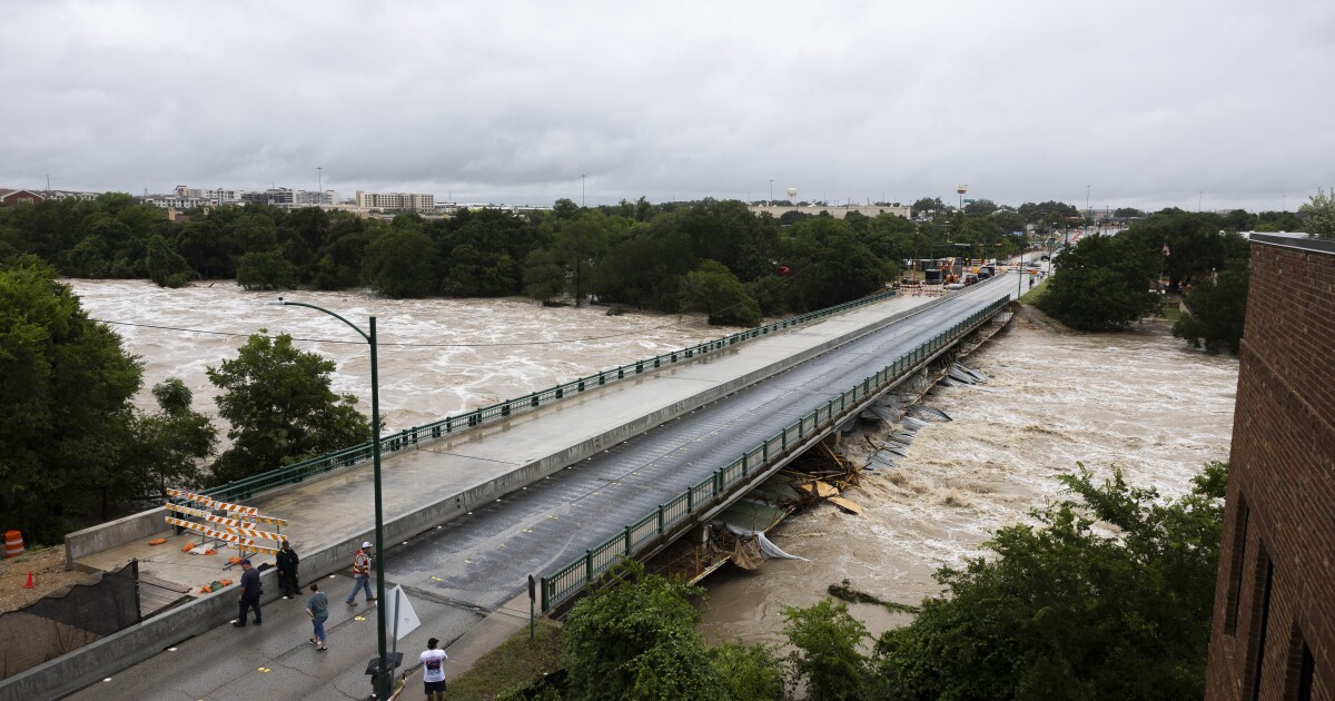 Featured image for Flooding Raises Mosquito Risks, Officials Warn Austin Residents