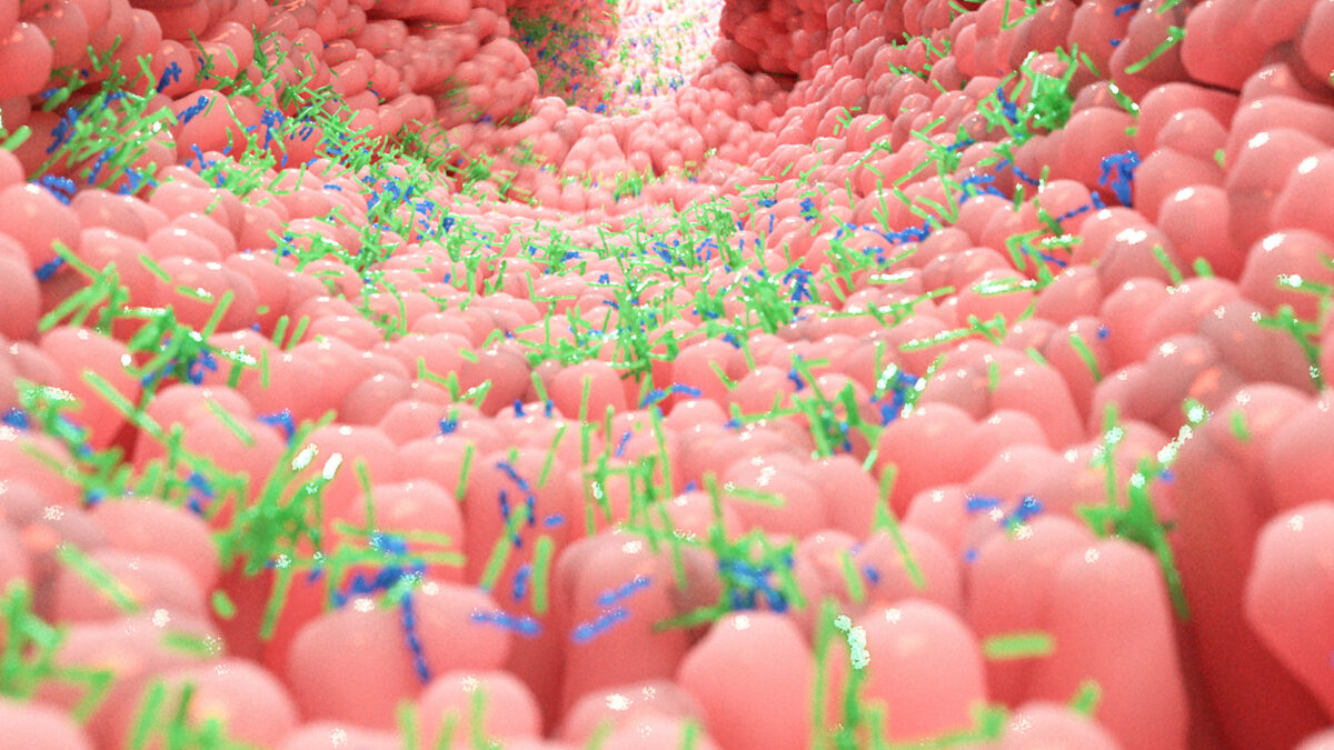 Featured image for New Gut 'Sense' Links Microbes to Hunger, Brain, and Weight Loss