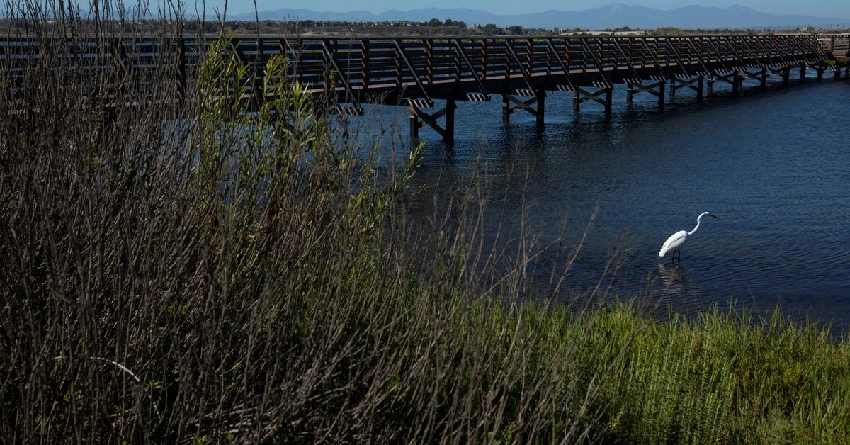 Biden's Clean Water Rule Blocked in Multiple States