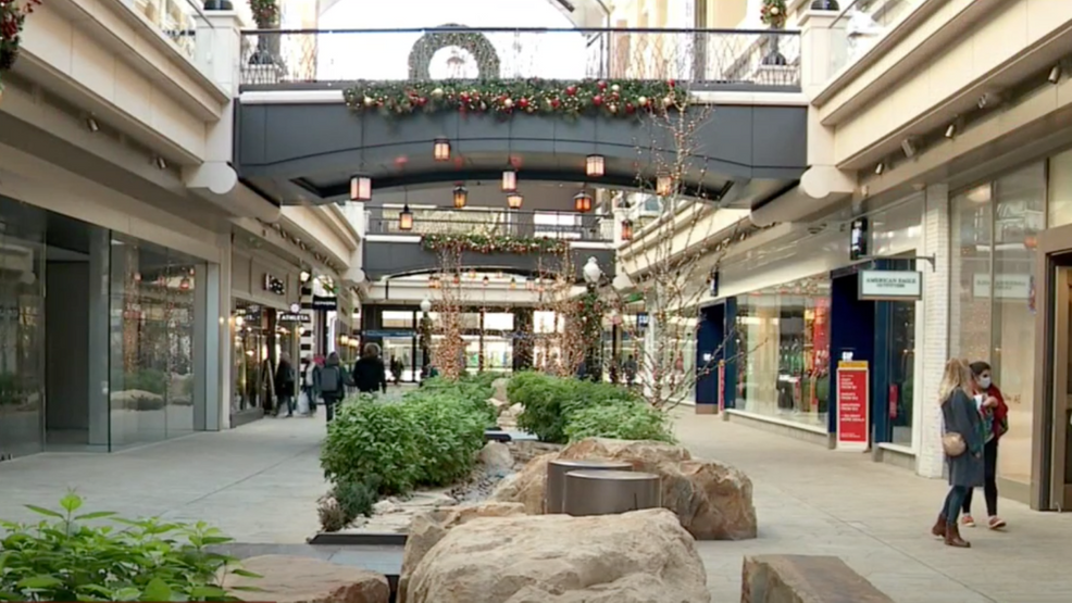 "The Evolution of Black Friday: From Crowded Stores to Online Shopping Dominance"