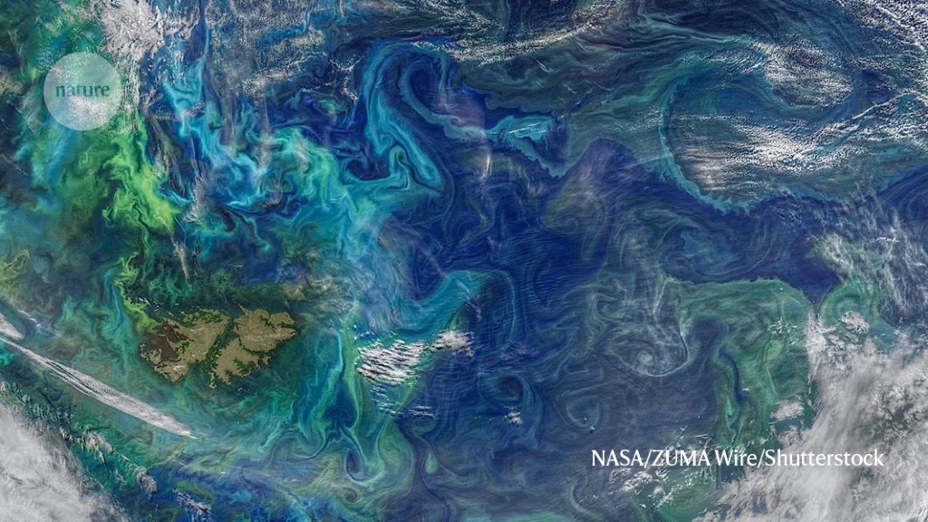 Featured image for Unraveling the Complexity of Oceans: Modelling Marine Microbes for Climate Forecasts