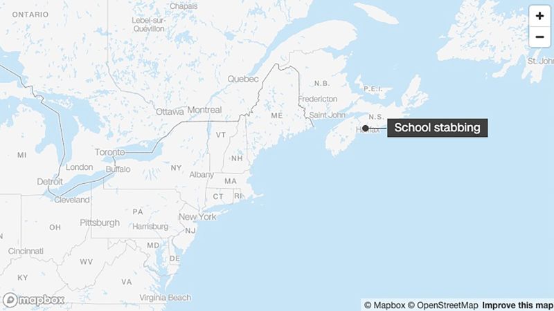 Student in custody after stabbing incident at Canadian high school