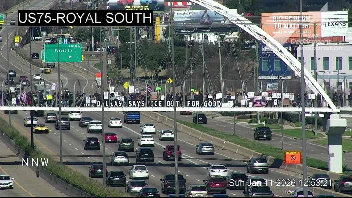 Dallas protesters stage ICE-out rally on pedestrian bridge above US-75