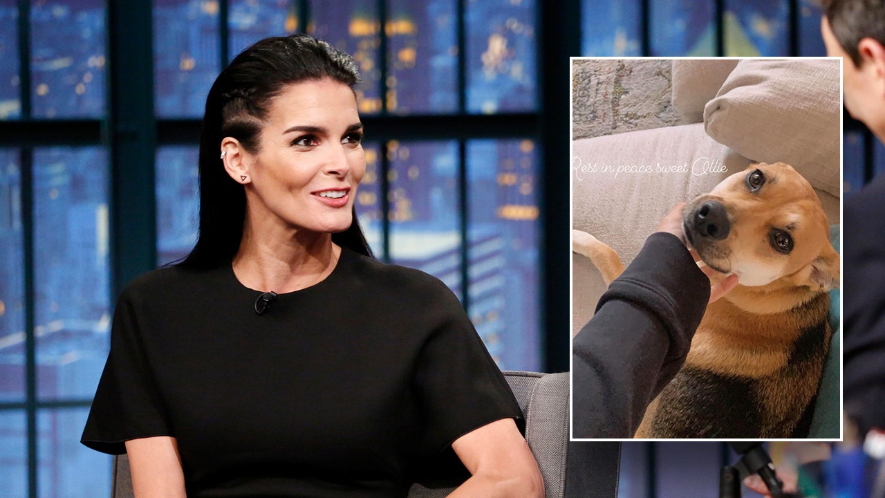 Actress Angie Harmon Claims Instacart Driver Fatally Shot Her Family Dog