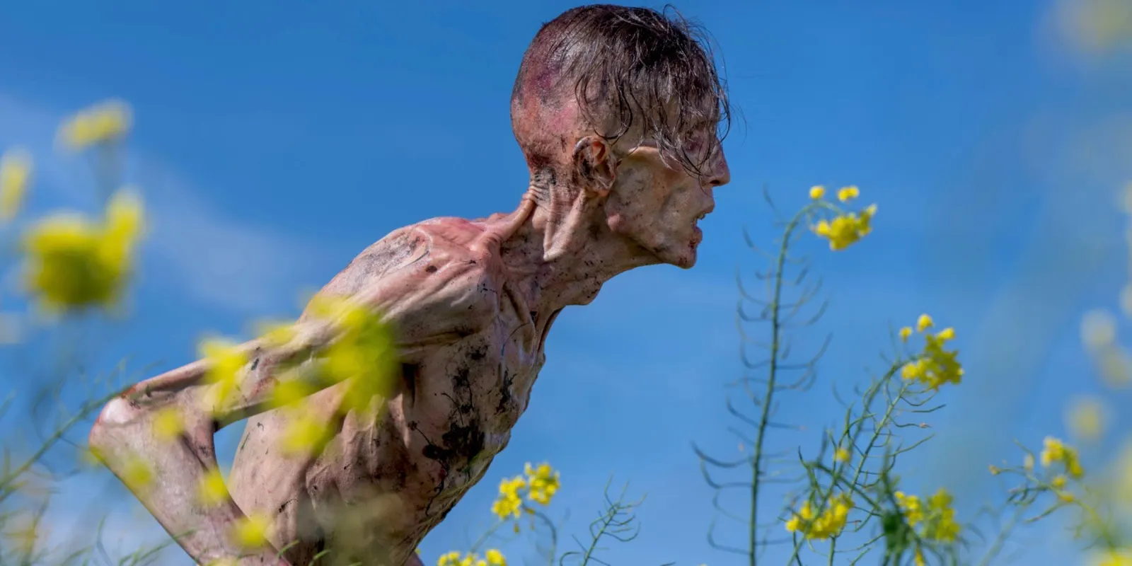 Featured image for '28 Years Later' Sequel Set for Release in Seven Months